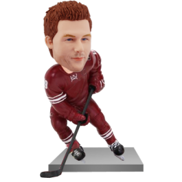 Arizona Hockey Buddy Bobble Head