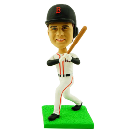 Boston Baseball Buddy